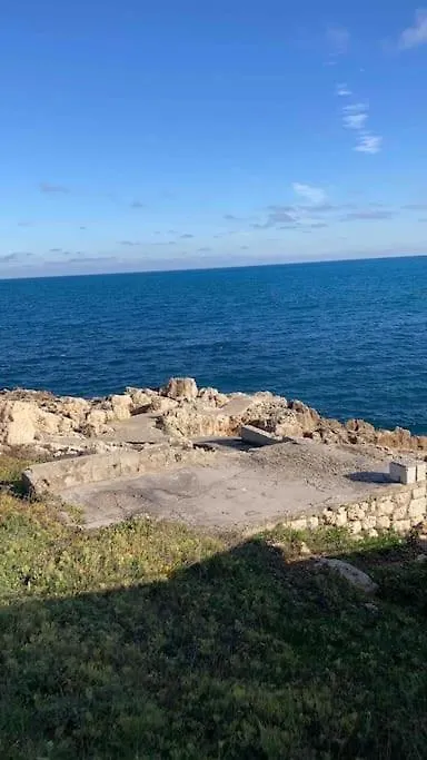 Apartment Appartement Vue Mer Acces Plage Antibes
