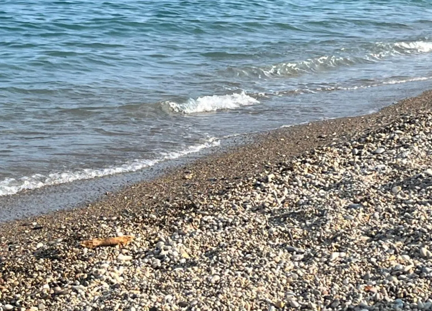 Appartement Vue Mer Acces Plage Antibes Apartment
